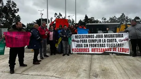 Pescadores de Lebu dirigen carta al presidente Boric para declarar la jibia migratoria