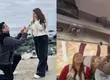 Hombre sorprende con propuesta de matrimonio en viaje de EME Bus: video se viraliza en redes