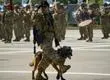 El último desfile de Drako: Un héroe de cuatro patas se despide en la Parada Militar 2025
