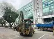 Municipalidad de Concepción retirará todos los árboles de su estacionamiento tras caída sobre auto del alcalde