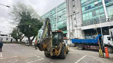 Municipalidad de Concepción retirará todos los árboles de su estacionamiento tras caída sobre auto del alcalde