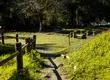 Parque Nacional Nonguén cerrará para monitoreo de fauna silvestre