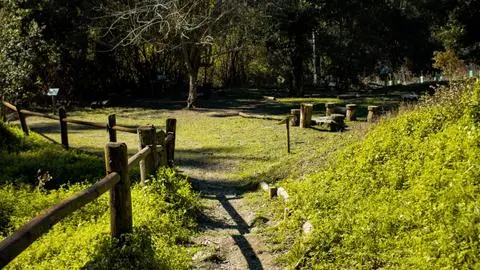 Parque Nacional Nonguén cerrará para monitoreo de fauna silvestre