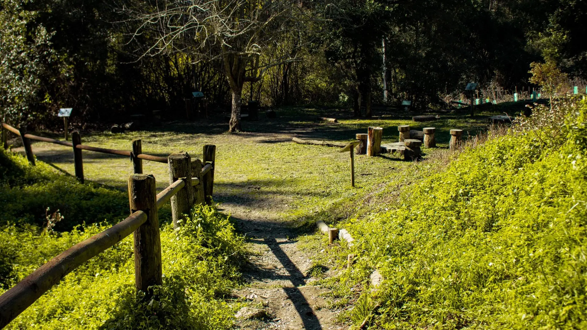 Parque Nacional Nonguén cerrará para monitoreo de fauna silvestre
