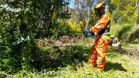 Concepción lanzó plan integral para prevenir incendios forestales