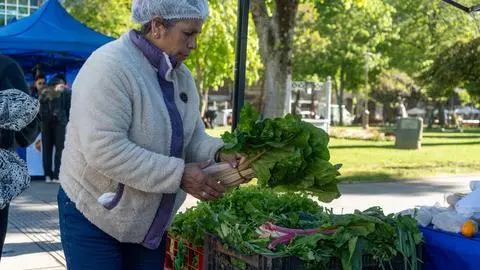 Emprendedoras rurales fueron celebradas con feria en Plaza de la Independencia