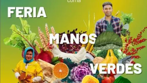 Feria Manos Verdes promueve la alimentación saludable y sostenible en el Biobío
