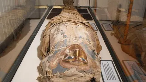 Momia del Museo Pedro del Río Zañartu en Hualpén: descubrimientos inéditos que dejó el escáner a su cuerpo