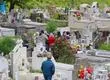 Cementerio General de Concepción se prepara para recibir más de 70 mil visitas en Día de Todos los Santos