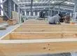 Frane Zilic, gerente de Biobío Madera: “La madera es el único material estructural que permite la transición hacia la construcción sostenible”
