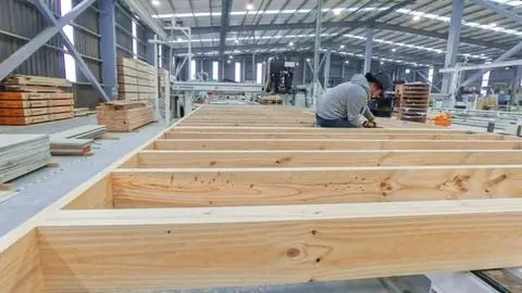 Frane Zilic, gerente de Biobío Madera: “La madera es el único material estructural que permite la transición hacia la construcción sostenible”