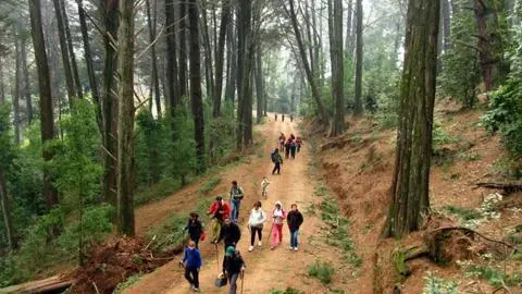Estas son las actividades que se realizarán por el Día de los Cerros 2025 en el Gran Concepción