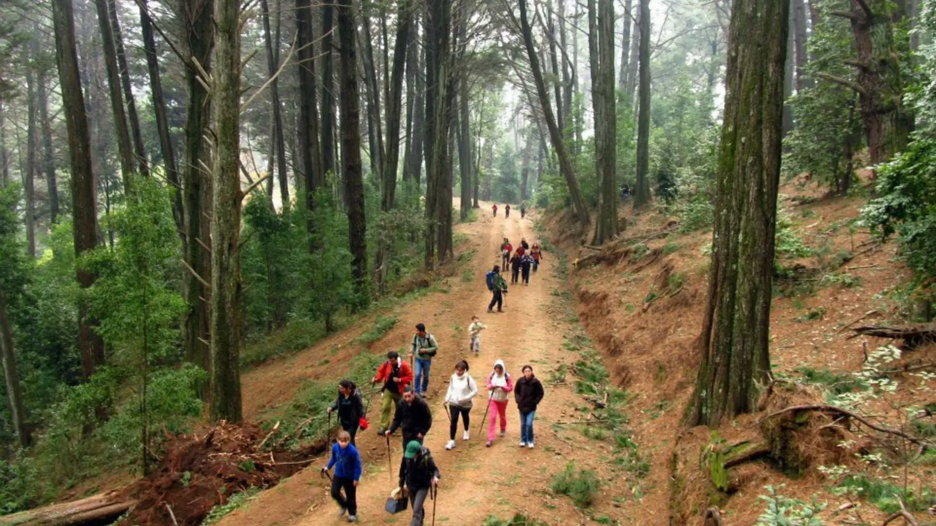 Estas son las actividades que se realizarán por el Día de los Cerros 2025 en el Gran Concepción