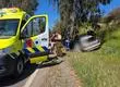 Vehículo chocó contra un eucalipto: Joven de 25 años fallece tras sufrir grave accidente vehicular en ruta de La Ligua