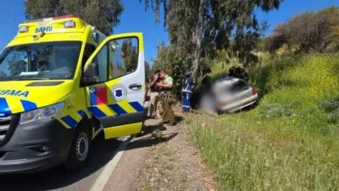 Vehículo chocó contra un eucalipto: Joven de 25 años fallece tras sufrir grave accidente vehicular en ruta de La Ligua