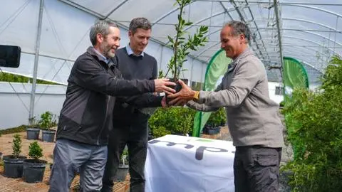 Convenio entre CMPC y el Jardín Botánico Nacional busca resguardar especies en riesgo y restaurar ecosistemas
