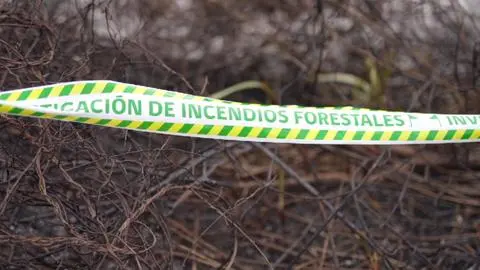 Incendio afectó al Humedal Los Batros en San Pedro de la Paz