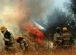 Reportan grave incendio forestal en Monte Patria: Senapred declaró Alerta Roja