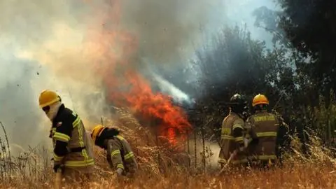 Autoridades del Biobío refuerzan llamado a prevenir incendios forestales ante “viento del este” y fin de semana largo