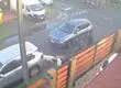 Perros dogos atacan a perrita en plena vía pública: Municipalidad de Hualpén presenta querella criminal
