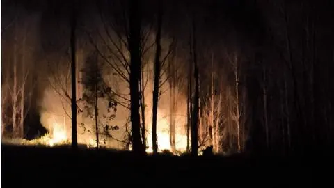 Nuevo incendio con múltiples focos afecta predio de empresa Arauco en la comuna de Penco