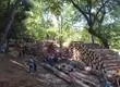 Resurge alerta por delitos forestales tras robo de madera a gran escala en Ñuble