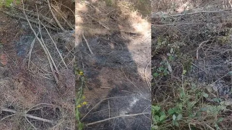 Acusan “clara intencionalidad” en incendio con siete focos simultáneos en Florida