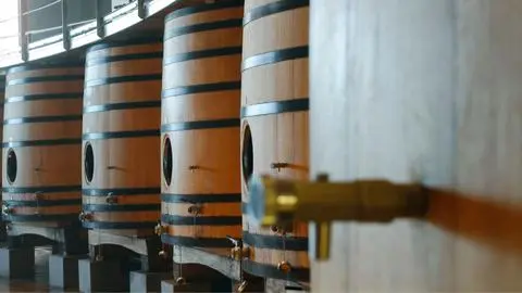 Marcas chilenas que hacen historia: Vinos lideran con más de 100 años de antigüedad
