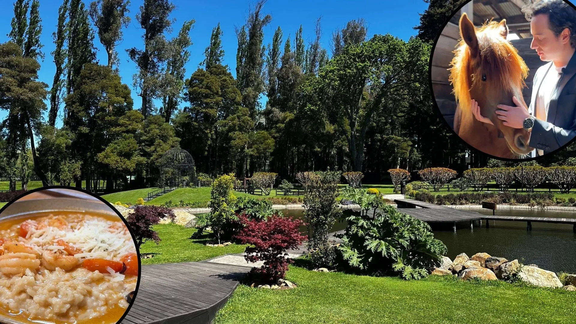 El secreto mejor guardado del Biobío a menos de dos horas de Concepción: Un destino ecuestre con inspiración europea