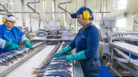 División de Pesca de Camanchaca recibe Sello de Excelencia: Destacó por avances en reducción de emisión de gases