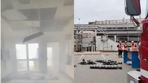 Incidente eléctrico se registró al interior de Celulosa Arauco: Dos trabajadoras resultaron con lesiones leves