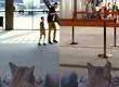 Con un gato recorriendo al estilo de Mario Kart: Revelan cómo será el aeropuerto de Viña del Mar