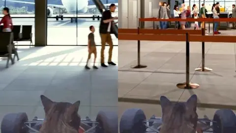 Con un gato recorriendo al estilo de Mario Kart: Revelan cómo será el aeropuerto de Viña del Mar