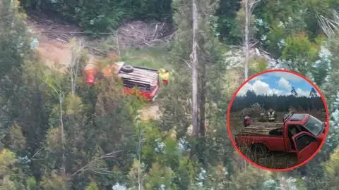 Incendio forestal en Lebu: El negocio del fuego de cara al robo de madera y la venta de leña en invierno
