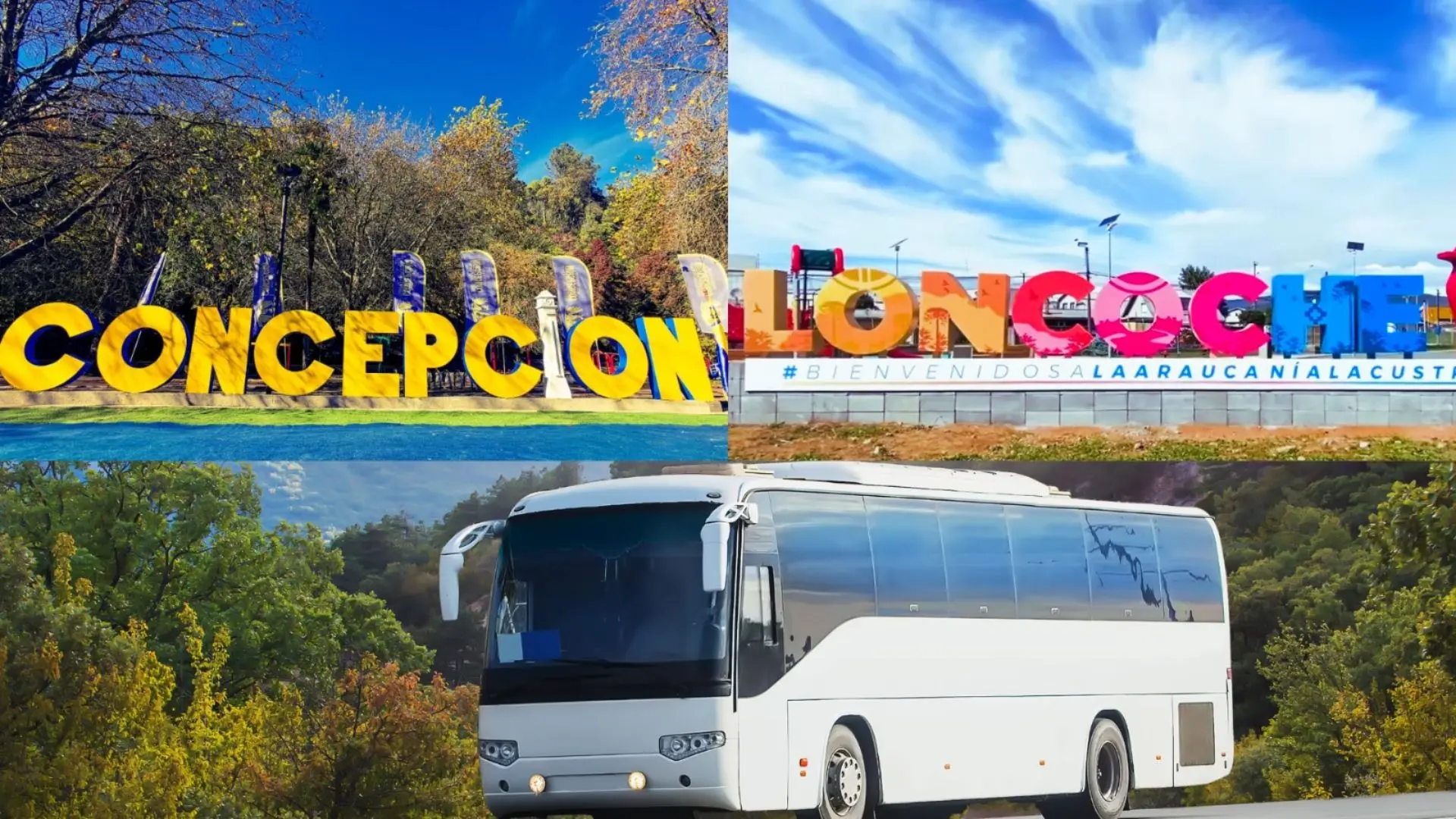 Concepción concreta conexión con turística ciudad de La Araucanía