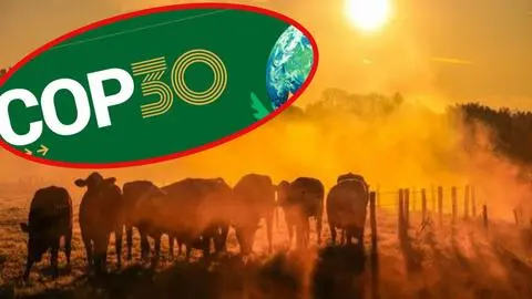 Inició COP 30 en Brasil: ¿La última esperanza para frenar el Cambio Climático?