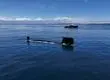 Con éxito finaliza ejercicio de búsqueda y rescate submarino liderado por la Armada