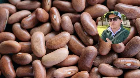 Experto sorprende con recomendar consumo de popular legumbre para combatir la obesidad en Chile
