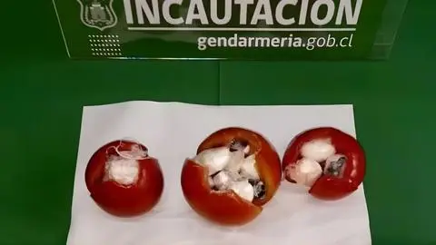 Mujeres fueron atrapadas intentando ingresar drogas en tomates a cárcel de Temuco