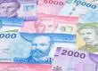 Los dos nuevos bonos que el Estado de Chile comenzará a pagar en enero de 2026
