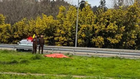 Amplían hasta el jueves la detención de los tres capturados por crimen de hombre que viajó a Concepción a comprar un auto
