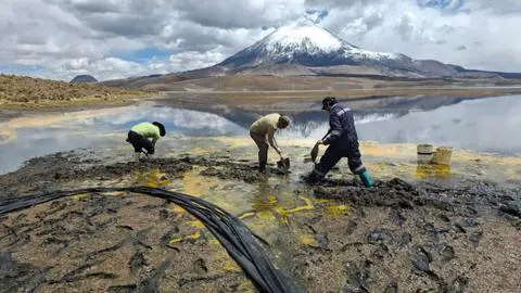Cierran Parque nacional Lauca por emergencia ambiental: Vertieron 20 mil litros de aceite en Lago Chungará