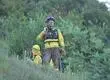 Concepción realizó primer simulacro de incendios forestales de la temporada