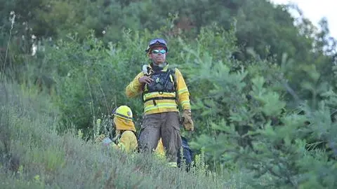 Concepción realizó primer simulacro de incendios forestales de la temporada