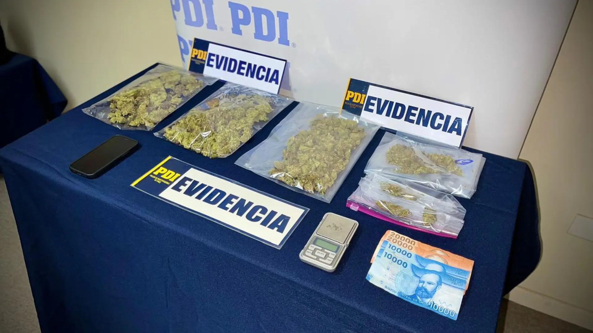 Desarticulan venta de droga por redes sociales en Curanilahue: Allanamiento terminó con más de 200 dosis de marihuana incautadas