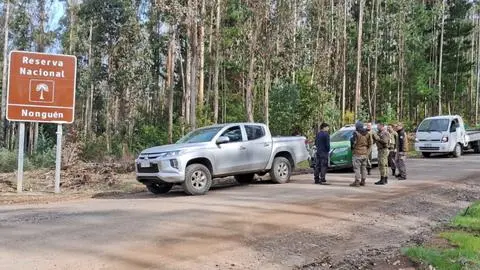 Aumentan fiscalización y protección en Parque Nacional Nonguén tras tala ilegal registrada en Chiguayante