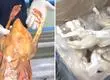 Mall chino en Meiggs clausurado por vender patos, ranas y tortugas con vísceras: “son varios productos que no sabemos qué son”