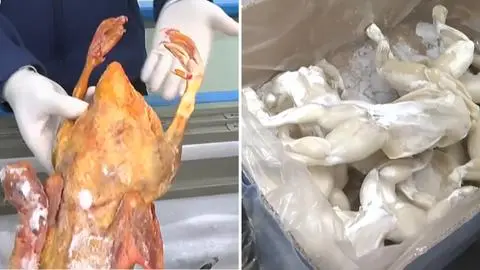 Mall chino en Meiggs clausurado por vender patos, ranas y tortugas con vísceras: “son varios productos que no sabemos qué son”