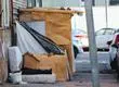 Municipio de Concepción proyecta crear más albergues tras alza de rucos y episodios de inseguridad