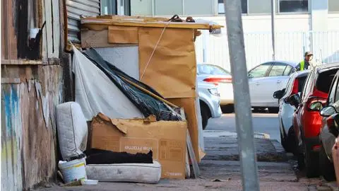Municipio de Concepción proyecta crear más albergues tras alza de rucos y episodios de inseguridad